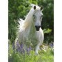 Puzzle Cal Alb, 100 Piese Ravensburger - 1